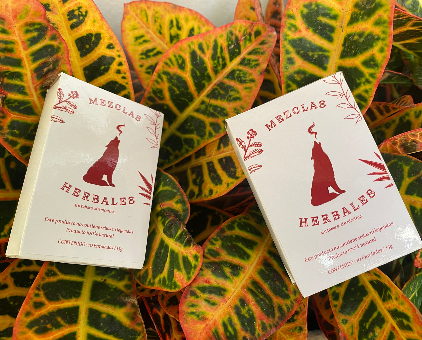 CAJETILLA DAMIANA NARANJA